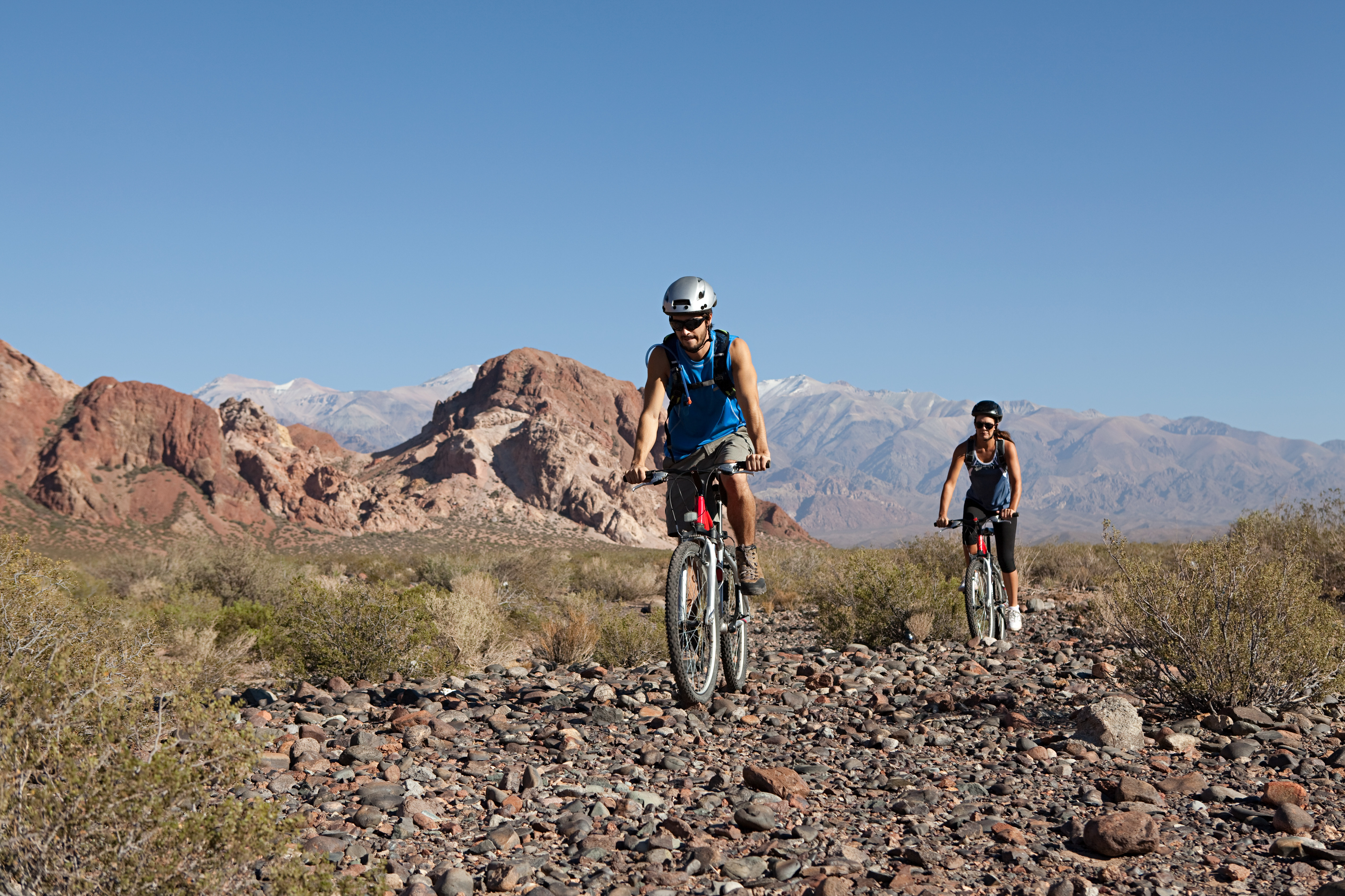 Mendoza alta montaña y viñedos