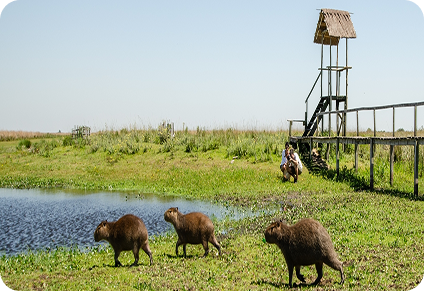 Pasajes a Corrientes