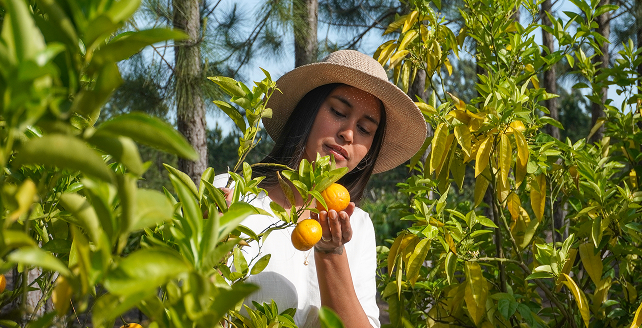 Concordia con Flecha Bus